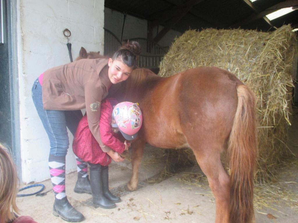 Gite Et Relais Equestre De Marie Tours-en-Vimeu Eksteriør bilde