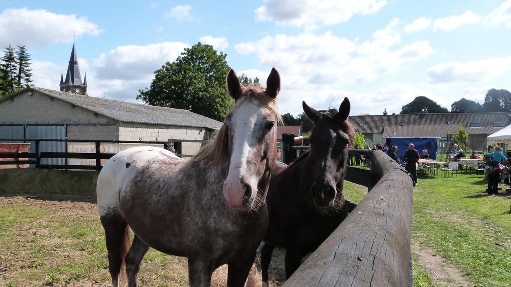 Gite Et Relais Equestre De Marie Tours-en-Vimeu Rom bilde