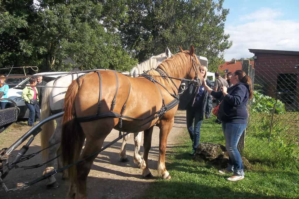 Gite Et Relais Equestre De Marie Tours-en-Vimeu Rom bilde