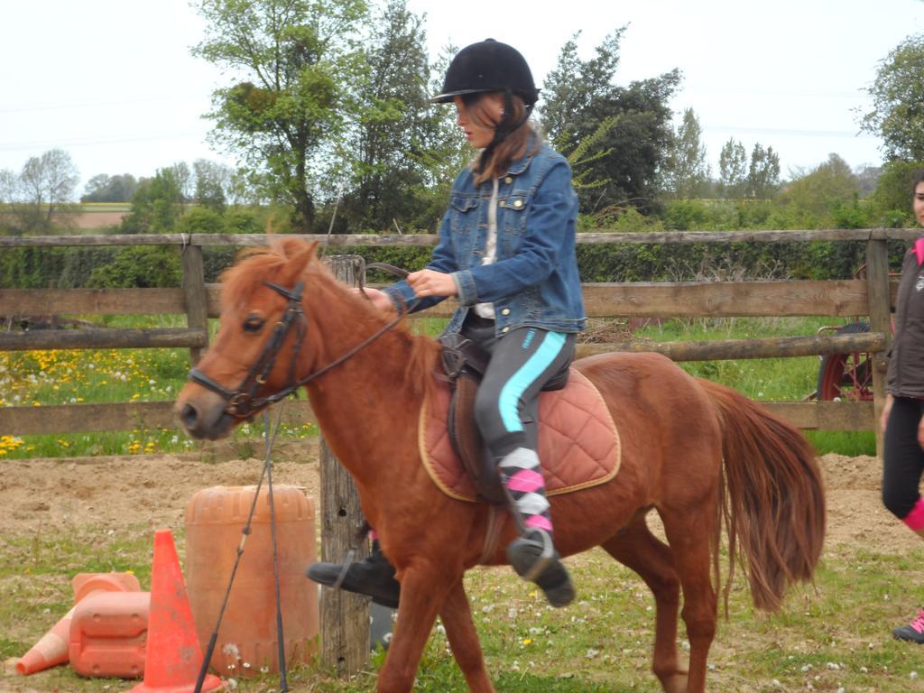Gite Et Relais Equestre De Marie Tours-en-Vimeu Rom bilde
