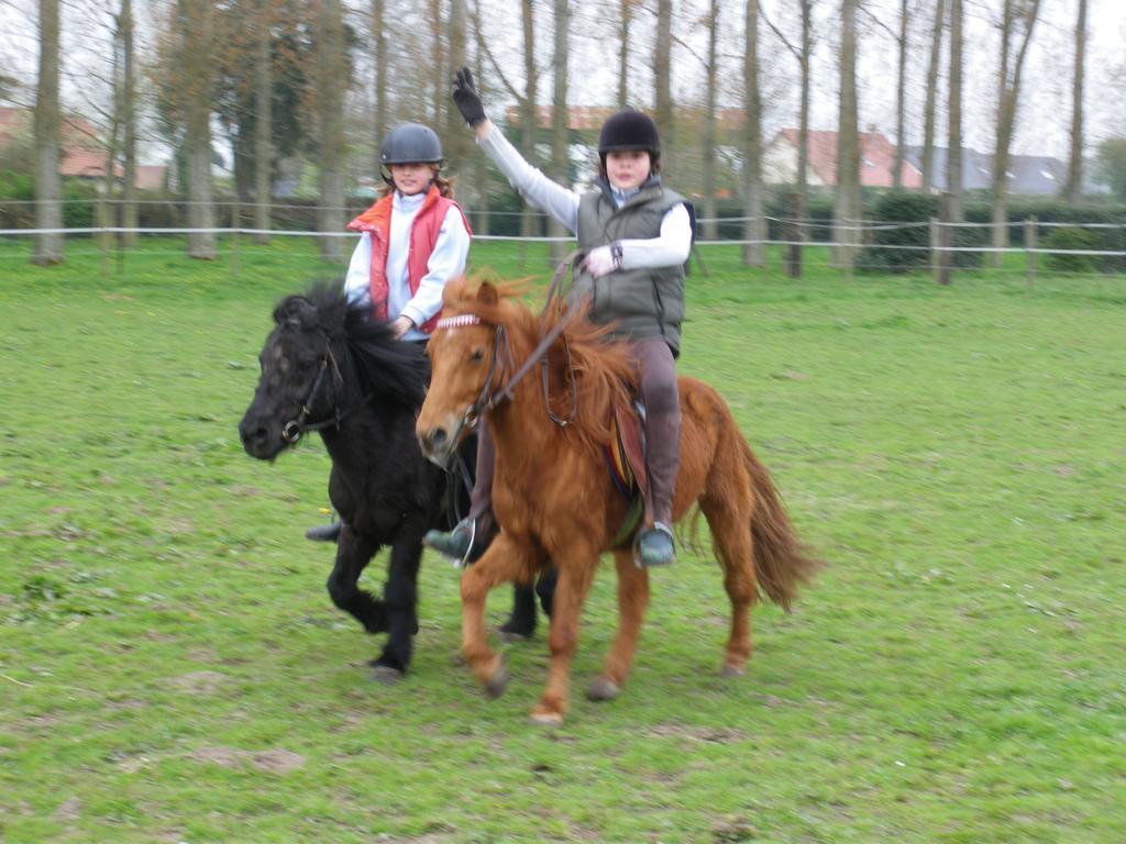 Gite Et Relais Equestre De Marie Tours-en-Vimeu Rom bilde