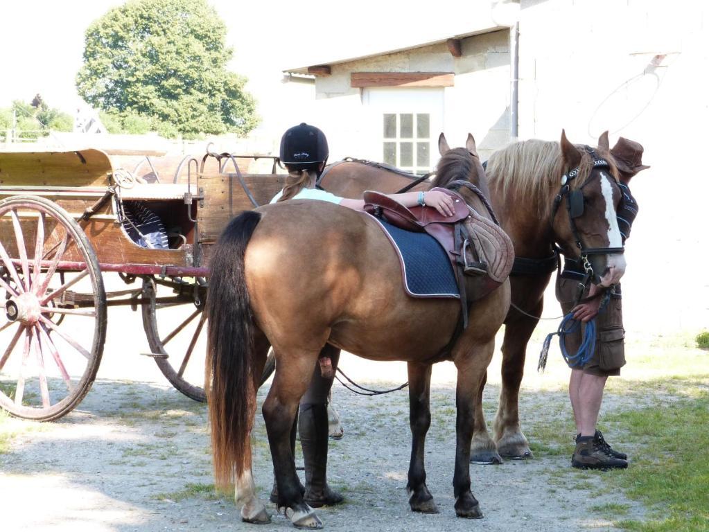 Gite Et Relais Equestre De Marie Tours-en-Vimeu Rom bilde